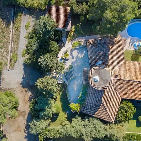 Falco Villa